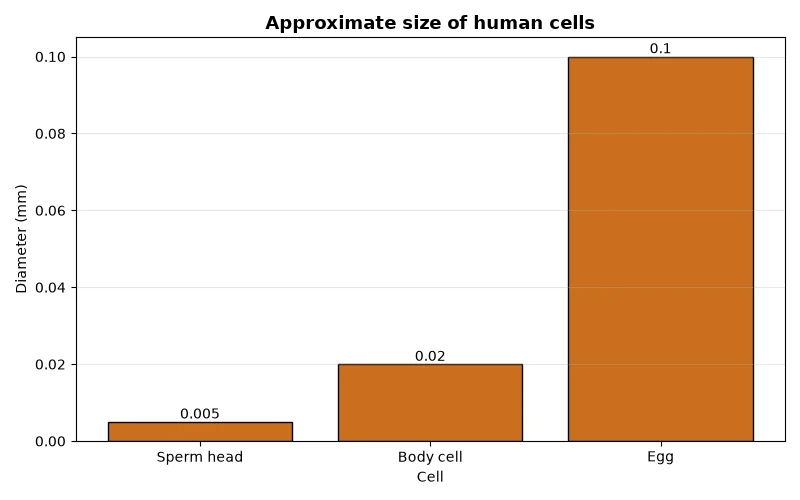 Dr Dabour Hub Academy - figure 14