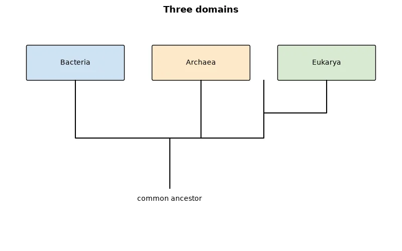 Dr Dabour Hub Academy - figure 1
