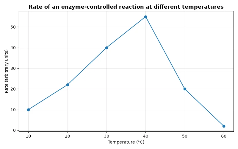 Dr Dabour Hub Academy - figure 9
