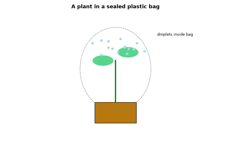 Dr Dabour Hub Academy - figure 3