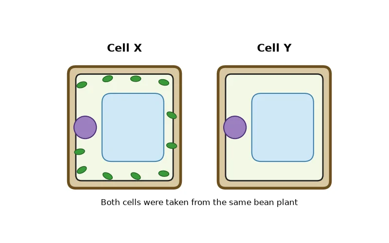 Dr Dabour Hub Academy - figure 2