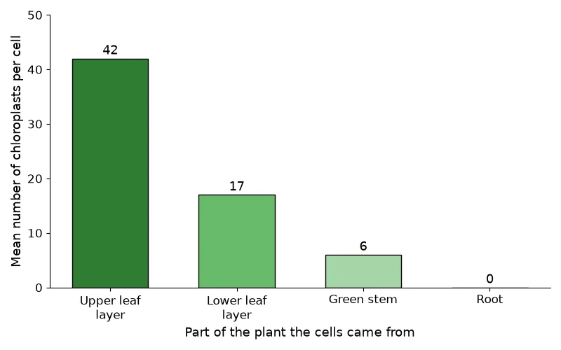 Dr Dabour Hub Academy - figure 3