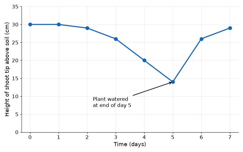 Dr Dabour Hub Academy - figure 4