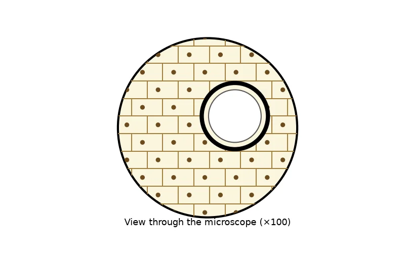 Dr Dabour Hub Academy - figure 5