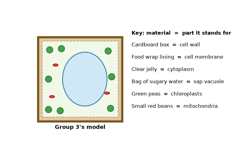 Dr Dabour Hub Academy - figure 6