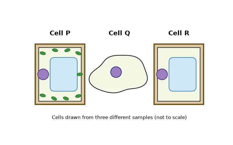 Dr Dabour Hub Academy - figure 2