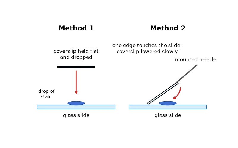 Dr Dabour Hub Academy - figure 4