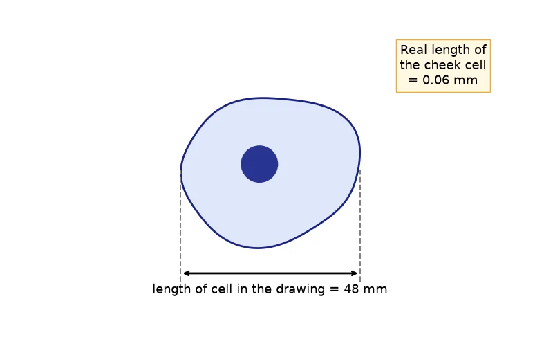 Dr Dabour Hub Academy - figure 7