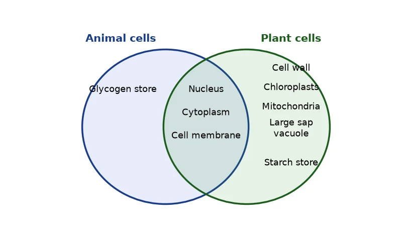 Dr Dabour Hub Academy - figure 6