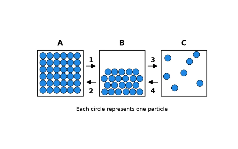 Dr Dabour Hub Academy - figure 2