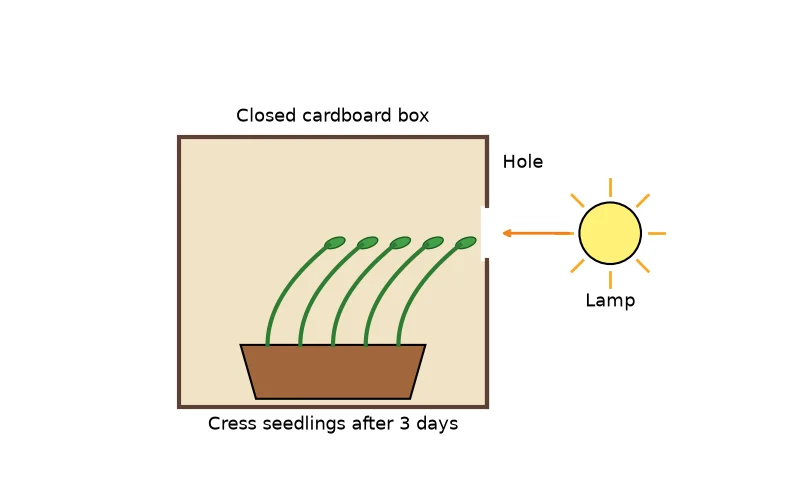 Dr Dabour Hub Science Diagram and Course Material