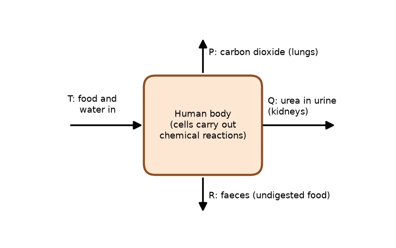 Dr Dabour Hub Science Diagram and Course Material