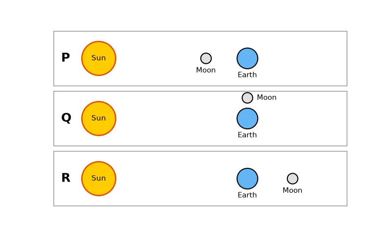 Dr Dabour Hub Academy - figure 4