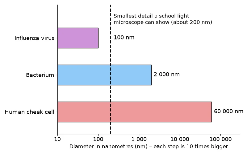 Dr Dabour Hub Science Diagram and Course Material