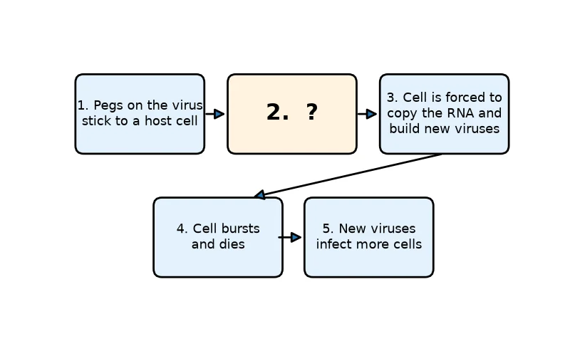 Dr Dabour Hub Science Diagram and Course Material