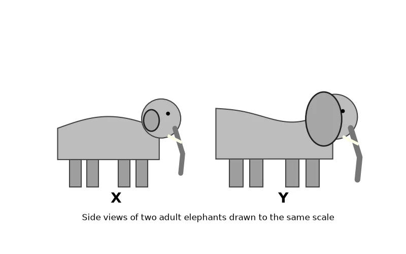 Dr Dabour Hub Academy - figure 2