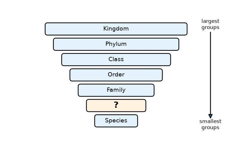 Dr Dabour Hub Academy - figure 7