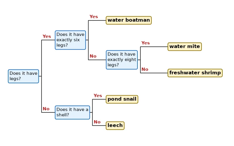 Dr Dabour Hub Academy - figure 2
