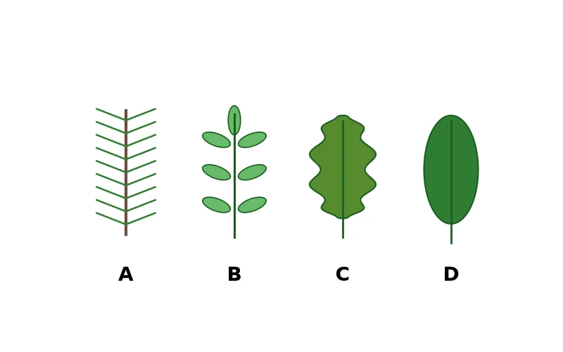 Dr Dabour Hub Academy - figure 4