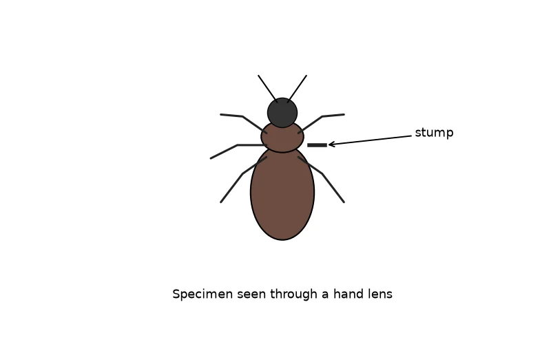 Dr Dabour Hub Academy - figure 7