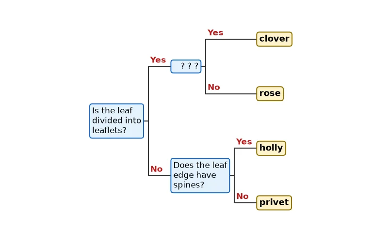 Dr Dabour Hub Academy - figure 8