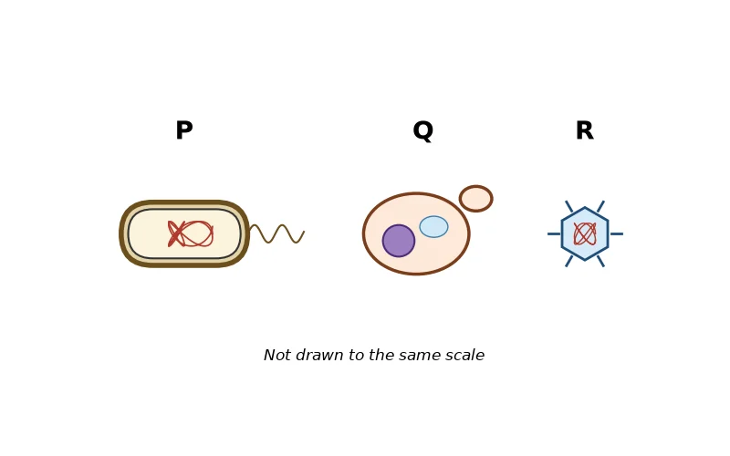 Dr Dabour Hub Science Diagram and Course Material
