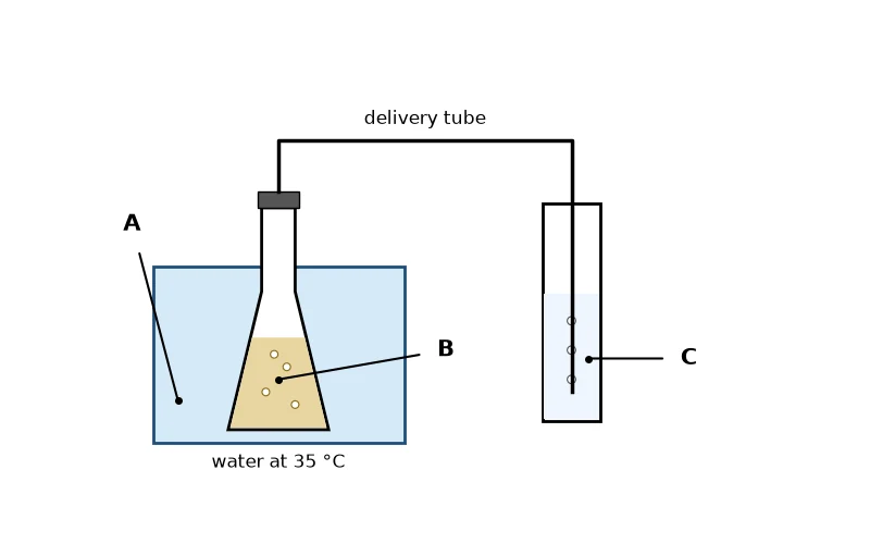 Dr Dabour Hub Science Diagram and Course Material