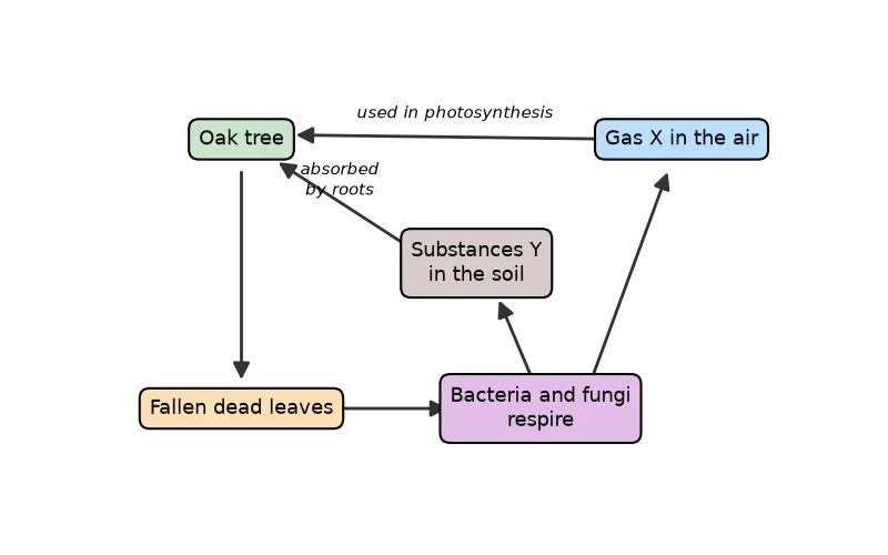 Dr Dabour Hub Science Diagram and Course Material