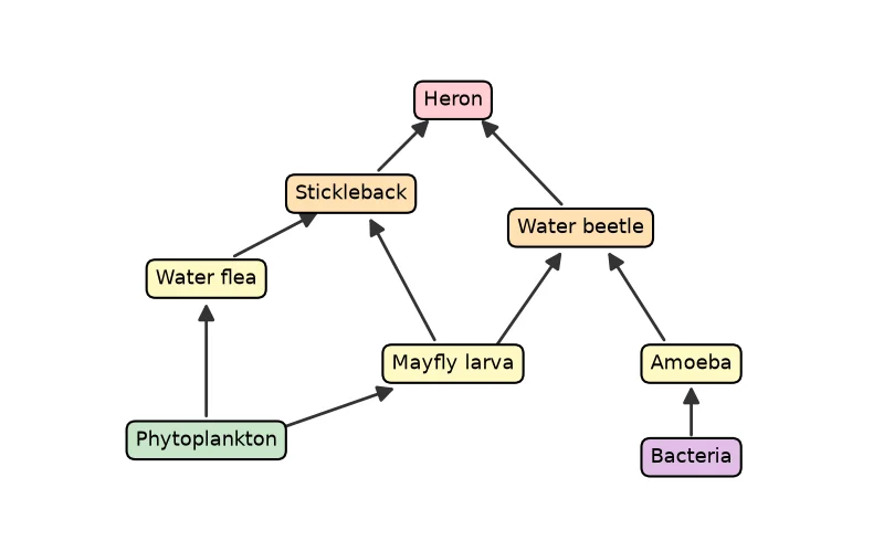 Dr Dabour Hub Academy - figure 1