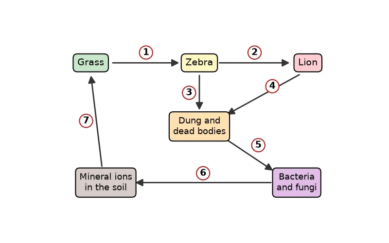 Dr Dabour Hub Academy - figure 3
