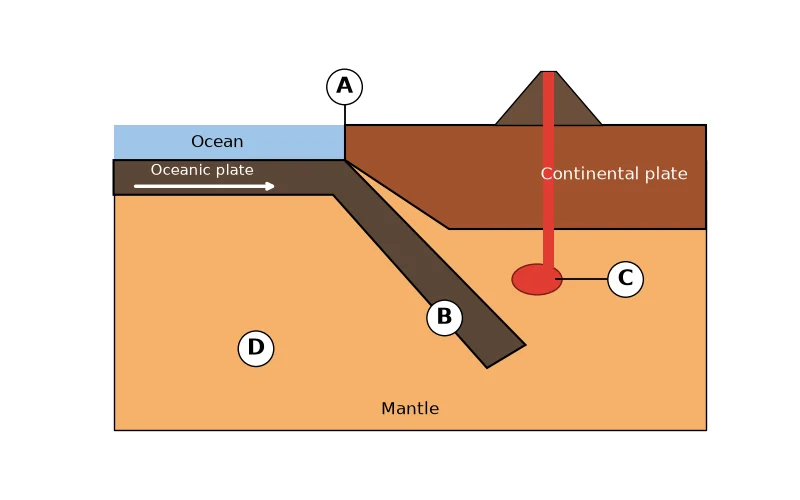 Dr Dabour Hub Academy - figure 1