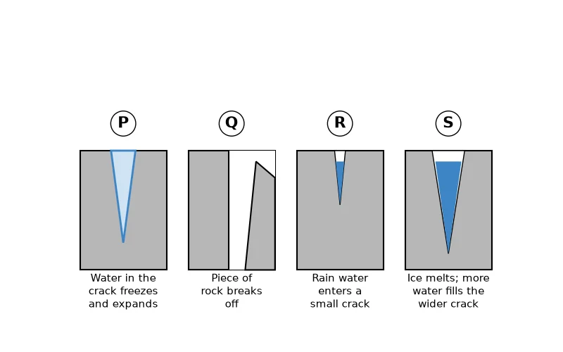 Dr Dabour Hub Academy - figure 5