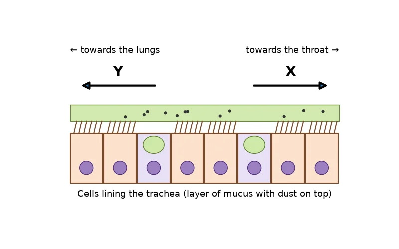 Dr Dabour Hub Science Diagram and Course Material