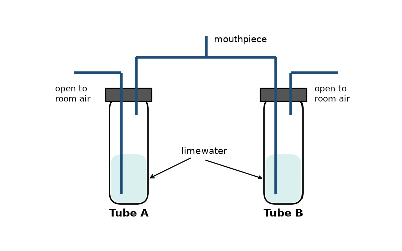 Dr Dabour Hub Science Diagram and Course Material