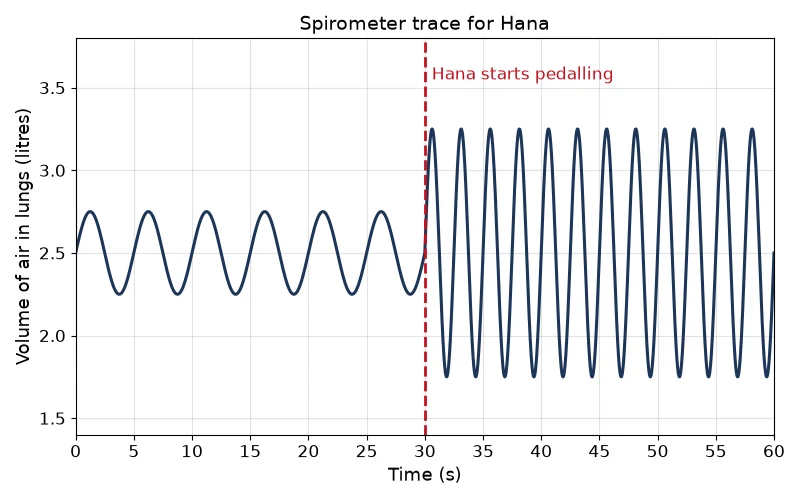 Dr Dabour Hub Academy - figure 10