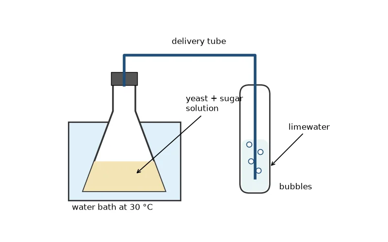 Dr Dabour Hub Science Diagram and Course Material