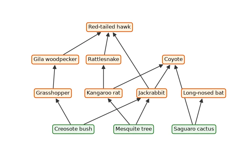 Dr Dabour Hub Science Diagram and Course Material