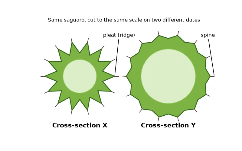 Dr Dabour Hub Science Diagram and Course Material