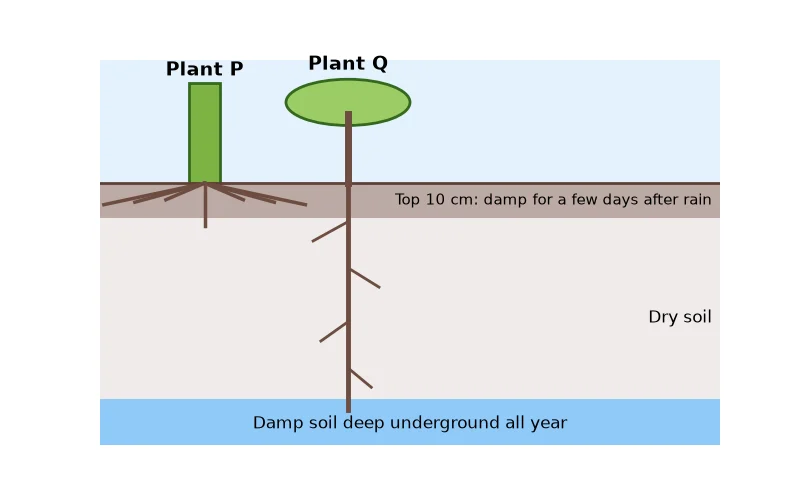 Dr Dabour Hub Science Diagram and Course Material