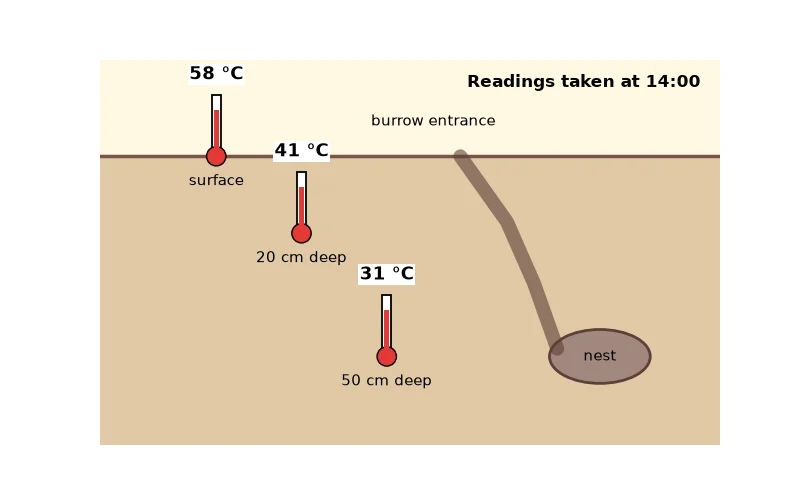 Dr Dabour Hub Science Diagram and Course Material