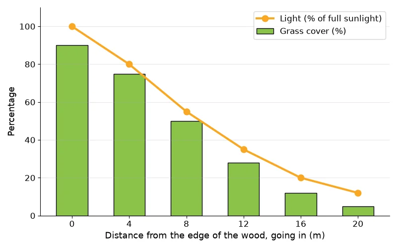 Dr Dabour Hub Academy - figure 3