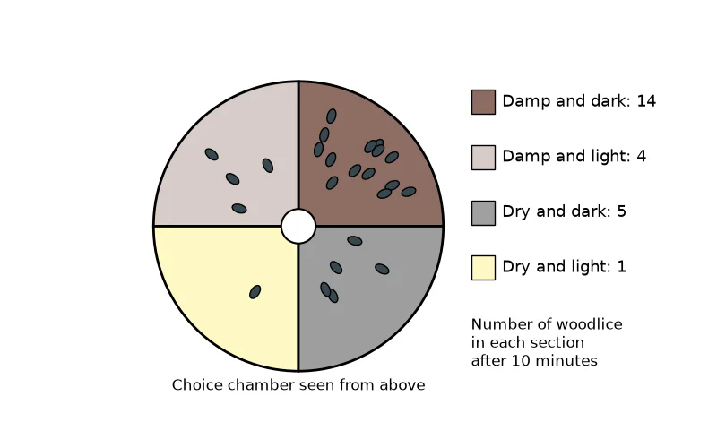 Dr Dabour Hub Science Diagram and Course Material
