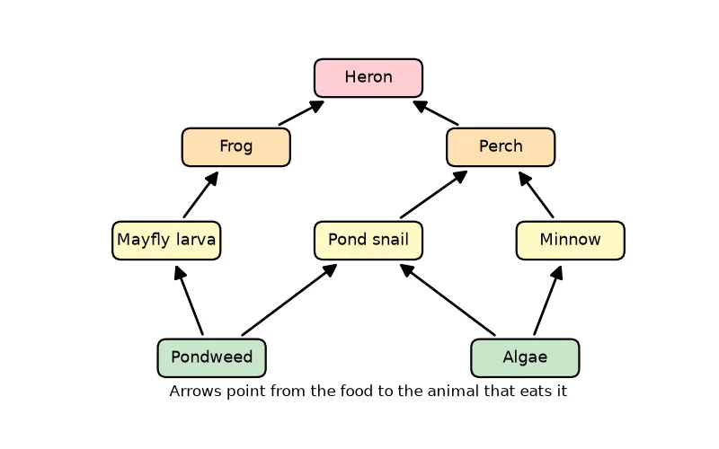 Dr Dabour Hub Science Diagram and Course Material