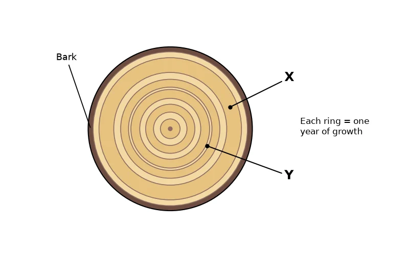 Dr Dabour Hub Academy - figure 4