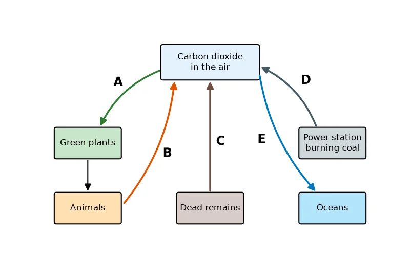 Dr Dabour Hub Academy - figure 4