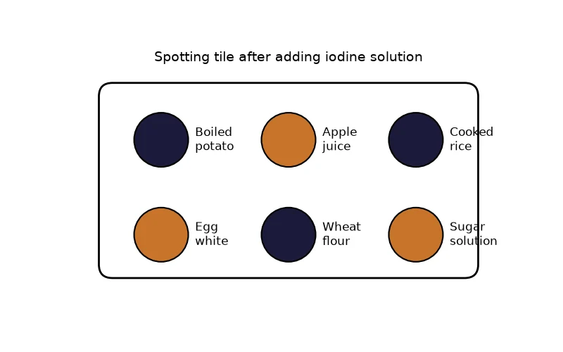 Dr Dabour Hub Academy - figure 5