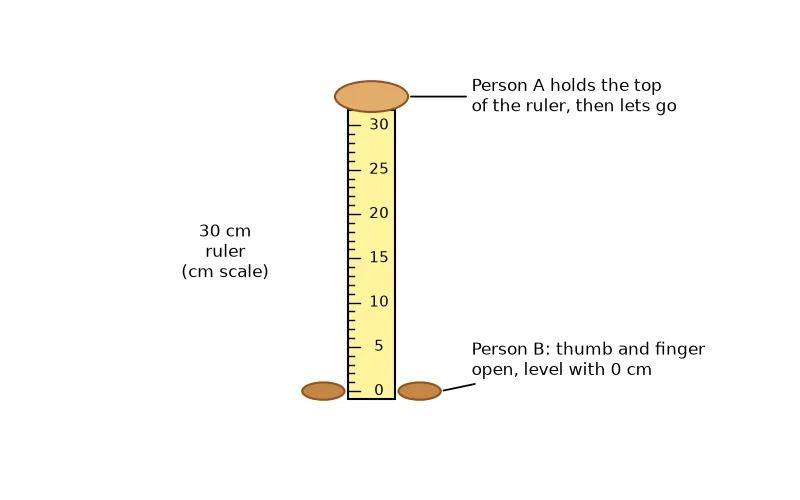 Dr Dabour Hub Academy - figure 4