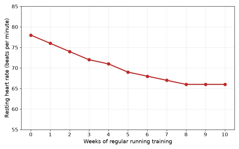 Dr Dabour Hub Academy - figure 7