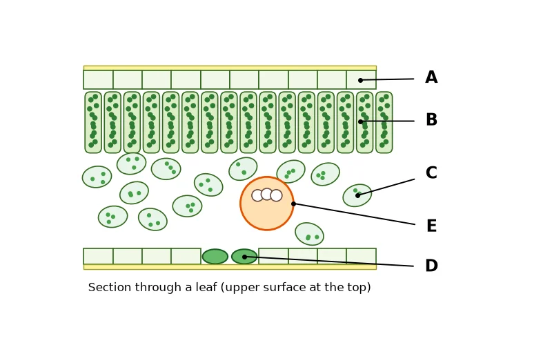 Dr Dabour Hub Academy - figure 1