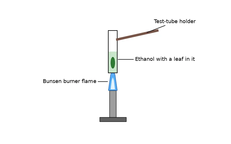 Dr Dabour Hub Academy - figure 2